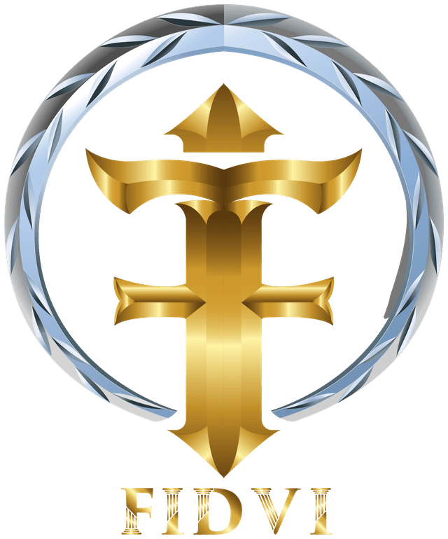 FIDVI INDUSTRIES logo