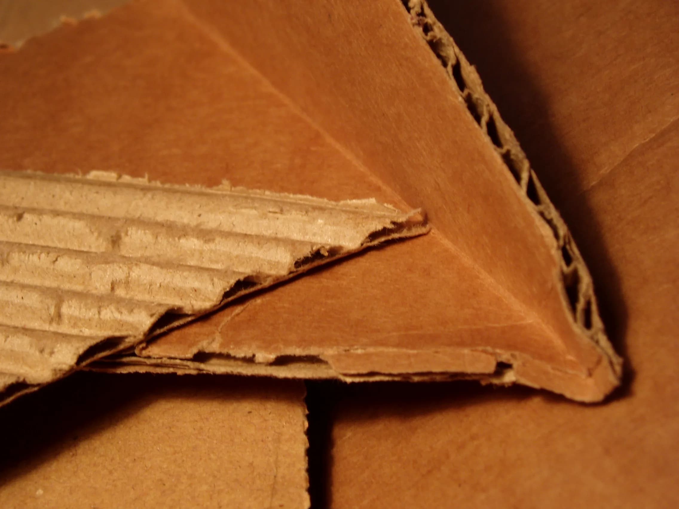 Sheets of corrugated cardboard showing board structure