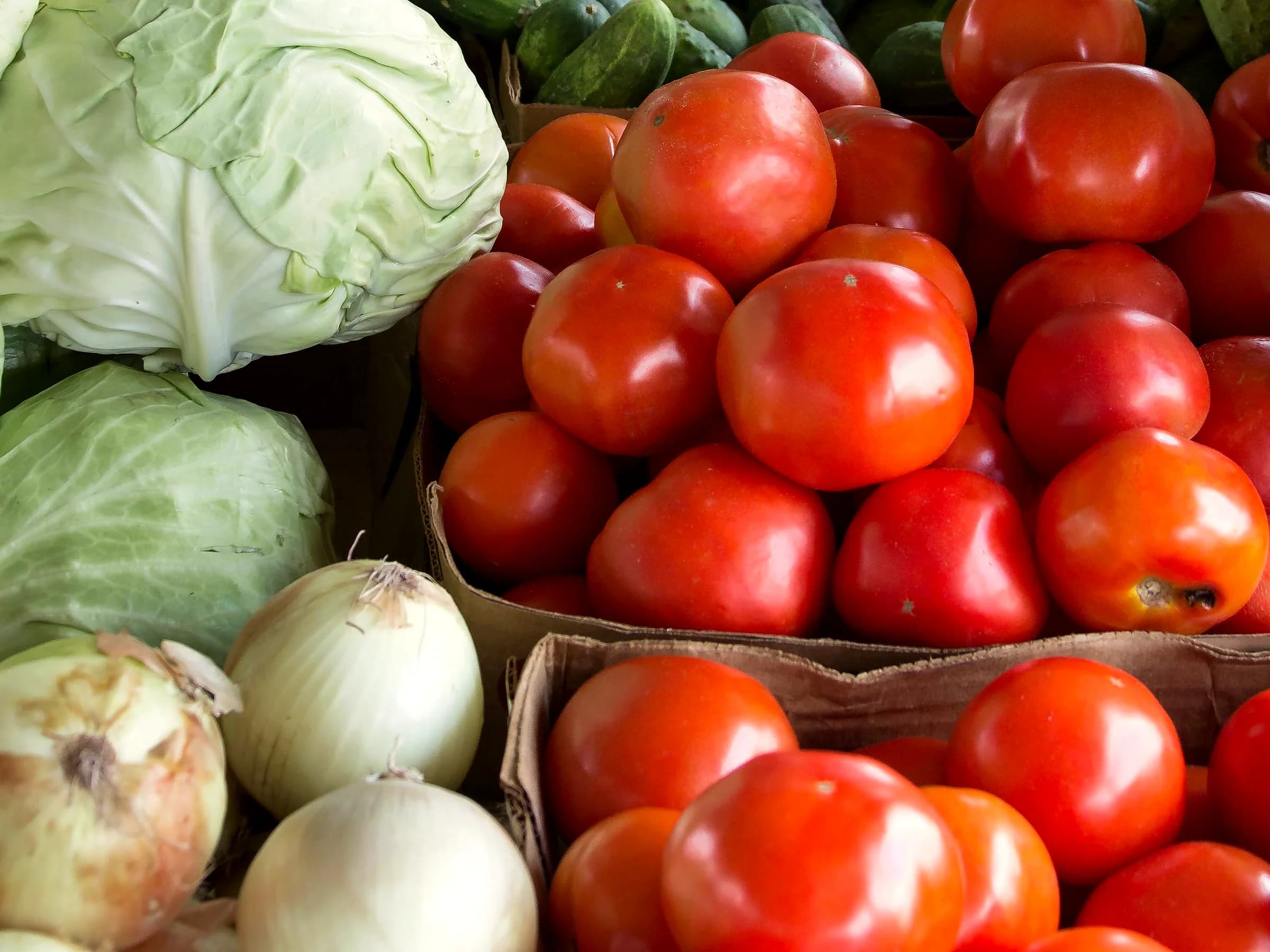 Fresh tomatoes and vegetables in plain unbranded corrugated boxes